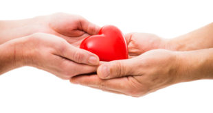10 часто задаваемых вопросов о пересадке сердца